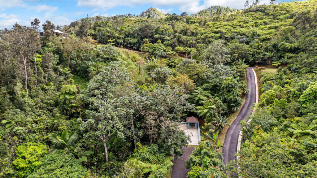 Finca-Quebrada-Seca-Puerto-Rico-Road