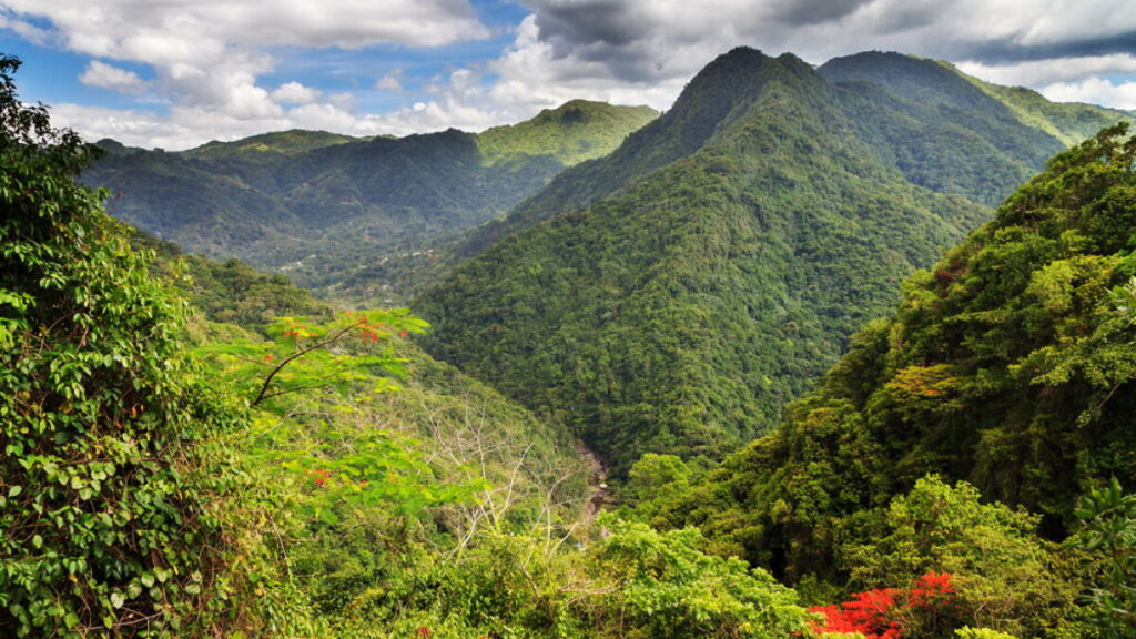 hiking in Puerto Rico